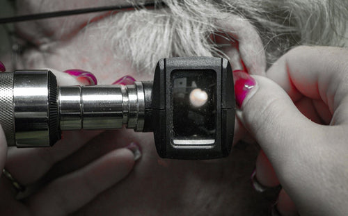 signia vs resound hearing aids