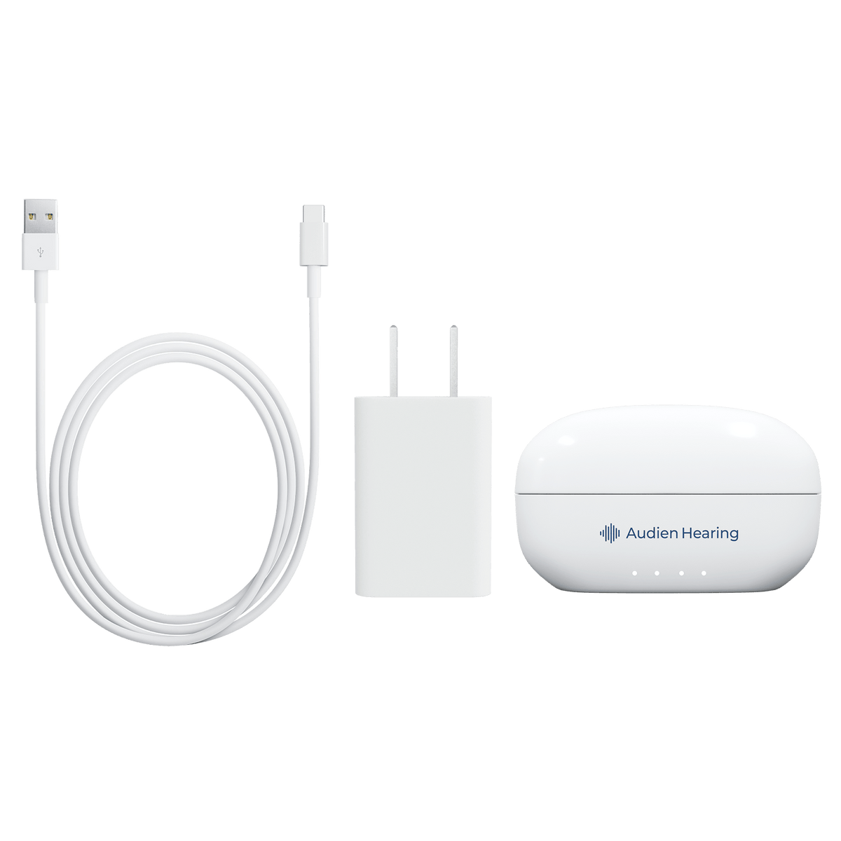 Audien Ion Pro hearing aid accessories including USB cable, charging adapter, and closed case